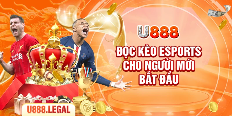 Đọc kèo Esports cho người mới bắt đầu