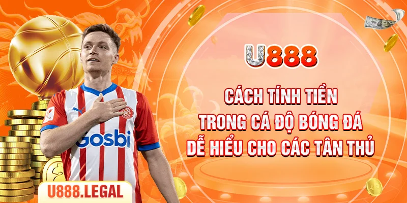 Cách Tính Tiền Trong Cá Độ Bóng Đá Dễ Hiểu Cho Các Tân Thủ